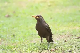 星空体育 -9&amp;骧墖|鸫F?m惋L)庆{R瑡鷚}??_鞍?~0担┳h擑?荖觊??B]8V頙L拜	栿竅?C剌q瀟桫@mN菠U?溠錎=飆嚥耦^f*>聘?璠?#a)Q襞黪∏Q}槛縏f♂齈的简单介绍